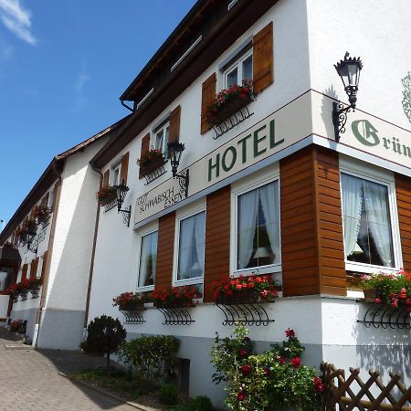 Hotel Landgasthof Gruener Baum Hochdorf  Esterno foto