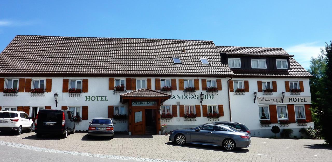 Hotel Landgasthof Gruener Baum Hochdorf  Esterno foto