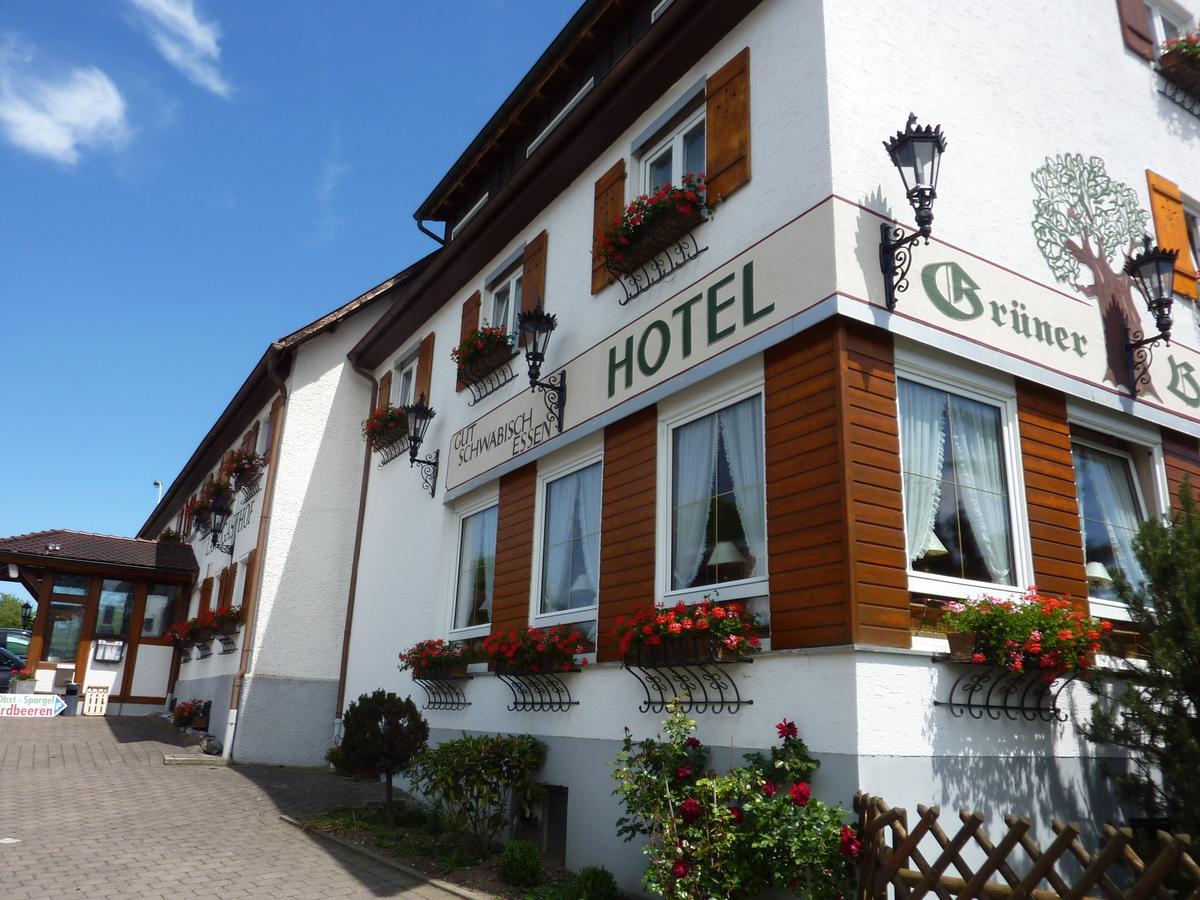Hotel Landgasthof Gruener Baum Hochdorf  Esterno foto